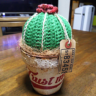 部屋全体/サボテン柄好き♡/ニットサボ/nononoさんの作品♡/嫁入り♡...などのインテリア実例 - 2017-08-24 20:50:47