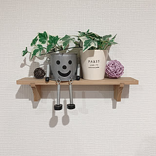 ダイソー 造花 葉のインテリア実例 Roomclip ルームクリップ