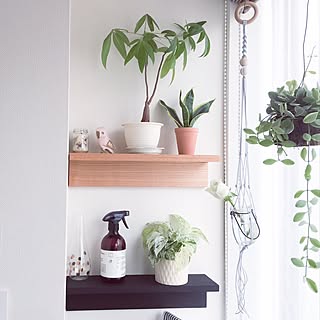 壁/天井/ハンギングプランター/無印良品/ワークスペース/観葉植物...などのインテリア実例 - 2016-06-11 15:50:35