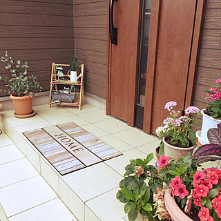 玄関 鉢植えのインテリア実例 Roomclip ルームクリップ