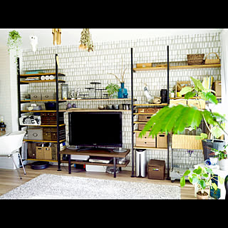 リビング/観葉植物/壁面収納/IKEA小物/TV台...などのインテリア実例 - 2019-11-17 22:35:04