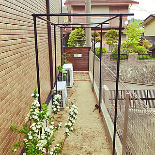 ガーデニング イレクターパイプのおしゃれなインテリア 部屋 家具の実例 Roomclip ルームクリップ