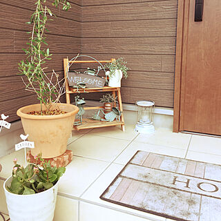 玄関 鉢植えのインテリア実例 Roomclip ルームクリップ