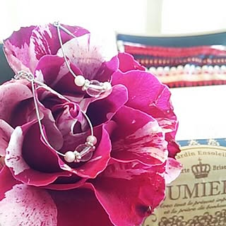 女性家族4LDKの、poemwalkさんの実例写真