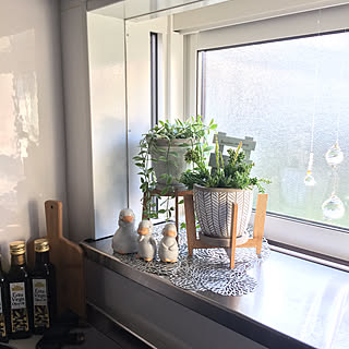 観葉植物のある暮らし/エメラルドネックレス/リプサリス/植木鉢置き/サンキャッチャー手作り...などのインテリア実例 - 2019-11-04 09:06:41