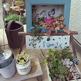 額縁プランターのインテリア実例 Roomclip ルームクリップ