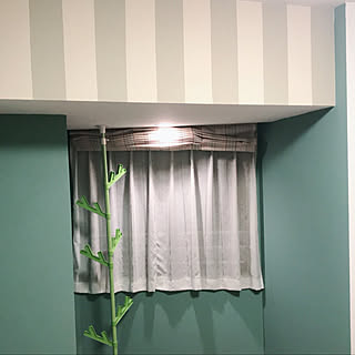壁塗装しました。/壁塗装DIY/壁塗装/ミルクペイント/ボタニカルガーデン...などのインテリア実例 - 2019-03-12 12:30:07