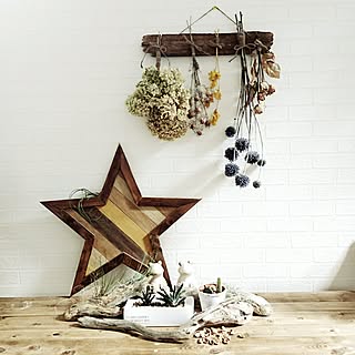 植物 ピスタチオのインテリア実例 Roomclip ルームクリップ 植物 ピスタチオのインテリア実例 Roomclip ルームクリップ