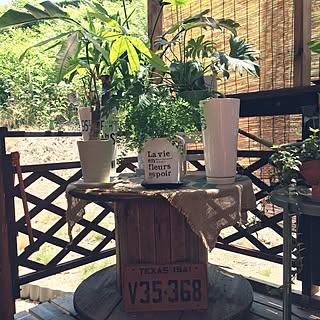 玄関/入り口/いつもいいねやコメありがとうございます♡/いいね!押し逃げばかりでごめんなさい。/一人暮らし/ペットと暮らす家...などのインテリア実例 - 2017-06-15 10:44:33
