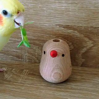 インコのおもちゃのインテリア実例 Roomclip ルームクリップ