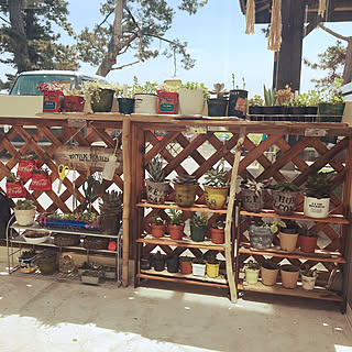 多肉植物 風除室のインテリア実例 Roomclip ルームクリップ