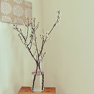 ニトリ フラワーベース ニトリの商品を使ったおしゃれなインテリア実例 Roomclip ルームクリップ