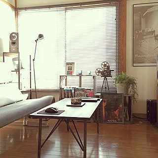 リビング/一人暮らし/賃貸/メンズ部屋/フェイクグリーン...などのインテリア実例 - 2014-12-28 09:58:26