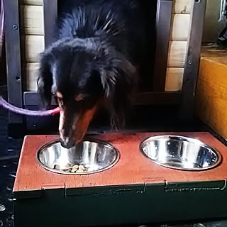 犬の餌置く台のインテリア実例 Roomclip ルームクリップ 犬の餌置く台のインテリア実例 Roomclip ルームクリップ