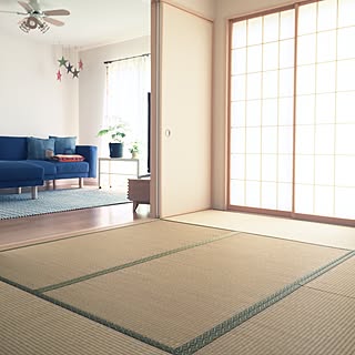 壁/天井/和室/グリーンのある暮らし/植物love♡/いつもありがとうございます♡/NO GREEN NO LIFE...などのインテリア実例 - 2016-09-10 12:49:14