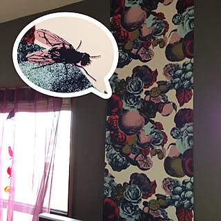 きもかわ好きのインテリア実例 Roomclip ルームクリップ