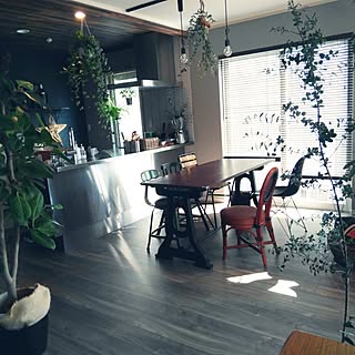 キッチン/子供と暮らす。/椅子/ハンギング/グリーンのある暮らし...などのインテリア実例 - 2017-02-17 10:02:19