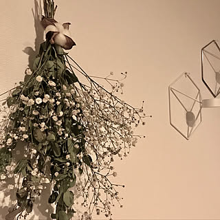 ユーカリドライフラワーのインテリア実例 Roomclip ルームクリップ