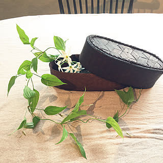 キッチン/我が家ではありません/2018.12.1/お花屋さんアレンジ/リキュウソウ...などのインテリア実例 - 2018-12-01 18:11:57