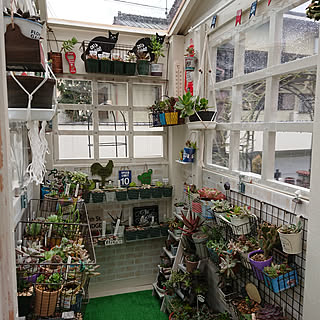 多肉ハウスのインテリア実例 Roomclip ルームクリップ