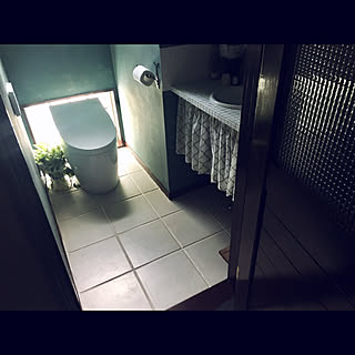 タンクレストイレ/チェッカーガラスの扉/ポトス/トイレはパリのアパルトマン風/ガラスブロック...などのインテリア実例 - 2019-09-25 12:20:58