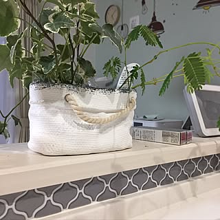 キッチン/無計画/タイルシール/観葉植物/DIY...などのインテリア実例 - 2017-02-09 17:14:18