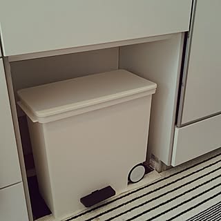 キッチン/Panasonic/リビングステーション/シンク下オープン/ゴミ箱...などのインテリア実例 - 2016-05-10 09:07:18