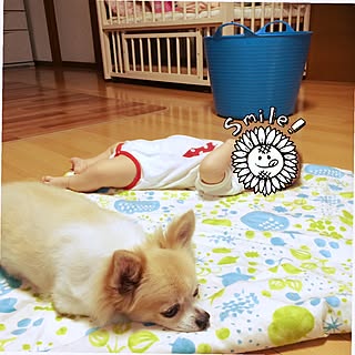 リビング/手作り/タブトラッグス/バケツ/ベビーベッド...などのインテリア実例 - 2016-07-13 17:04:18