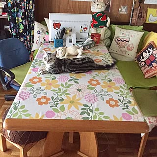 机/伸長式テーブル/ミニ模様替え/日替わり投稿企画!金曜日/ねこが好き...などのインテリア実例 - 2017-06-30 21:53:22