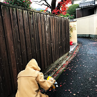 玄関/入り口/板塀/ウチではありませんが…/なごり紅葉/ブロワーで外掃除...などのインテリア実例 - 2018-12-27 06:42:57