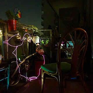 Elワイヤーのインテリア実例 Roomclip ルームクリップ