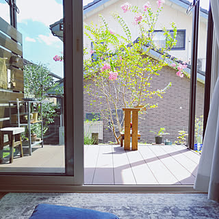 サルスベリの花のインテリア実例 Roomclip ルームクリップ