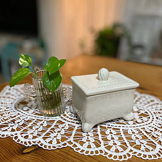 サボテン花瓶のインテリア実例 Roomclip ルームクリップ