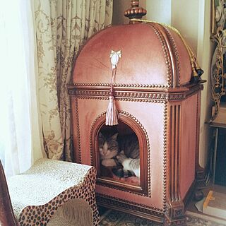 リビング/猫のいる部屋/猫/キャットハウス/イタリア家具...などのインテリア実例 - 2015-07-04 09:54:53