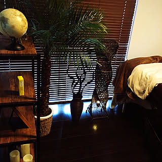 ホーマック 観葉植物のまとめページ Roomclip ルームクリップ