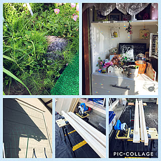 バス/トイレ/物置きDIY/ルコウソウ/ゆっくりと訪問させていただいてます☆彡/フォローさんにいつも感謝です♥...などのインテリア実例 - 2018-05-26 22:53:07