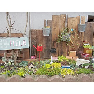玄関/入り口/多肉植物/IG→ryohrkw/多肉植物だいすき。/NO GREEN NO LIFE...などのインテリア実例 - 2015-04-12 14:29:57