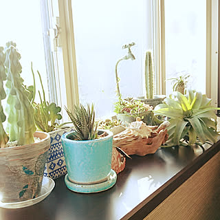 部屋全体/出窓/こんな私にいつもありがとう❤️/ペットと暮らす家/ハワイアンSTYLE...などのインテリア実例 - 2017-11-12 06:26:05