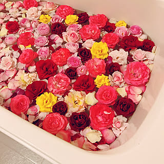 バラ風呂のインテリア実例 Roomclip ルームクリップ