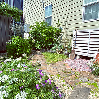 庭 花畑のおしゃれなインテリアコーディネート レイアウトの実例 Roomclip ルームクリップ