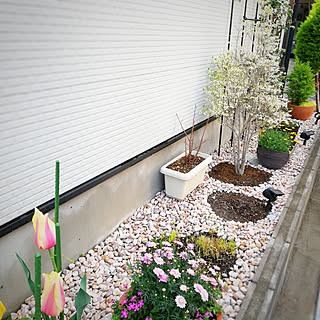 カインズホーム 花壇完成のまとめページ Roomclip ルームクリップ カインズホーム 花壇完成のまとめページ Roomclip ルームクリップ