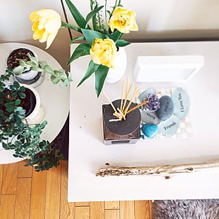 リビング/メッセージストーン/石/鉱石/パキラ...などのインテリア実例 - 2017-03-18 11:05:14