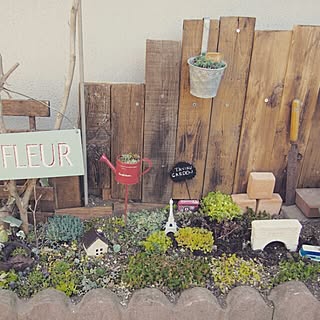 玄関/入り口/多肉植物/NO GREEN NO LIFE/多肉植物だいすき。/目標はイングリッシュガーデン★...などのインテリア実例 - 2015-04-02 15:37:06