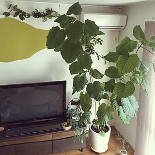 男性の、4LDK、家族住まいの「リビング」についてのインテリア実例