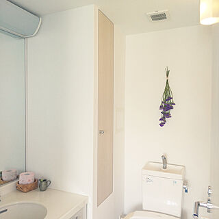 一人暮らし トイレと洗面所が一緒のインテリア レイアウト実例 Roomclip ルームクリップ