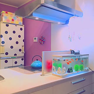 金魚水槽のインテリア実例 Roomclip ルームクリップ