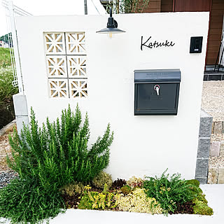 門柱前の花壇 ローズマリーのインテリア実例 Roomclip ルームクリップ