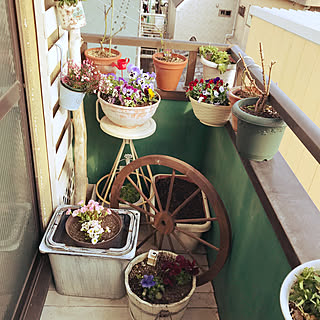 玄関/入り口/植木鉢ペイント/ウッドデッキDIY /ラティスDIY/ベランダガーデニング...などのインテリア実例 - 2018-03-11 16:13:36