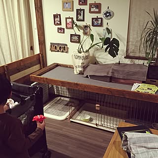 100均 犬小屋のインテリア実例 Roomclip ルームクリップ 100均 犬小屋のインテリア実例 Roomclip ルームクリップ