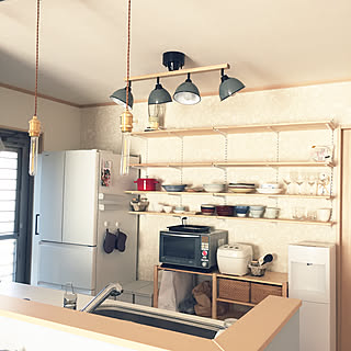 キッチン/オーブンレンジ買いたい/オーブンレンジ買い替え/オーブンレンジ買い換えたい！/新しいオーブンレンジが欲しい...などのインテリア実例 - 2017-11-22 09:34:26